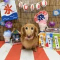 2025年08月27日12時14分投稿　ギャラリー記事「わんちゃん写真集♪」　投稿画像