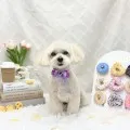 2026年05月24日04時55分投稿　ギャラリー記事「今日のわんちゃん♪」　投稿画像