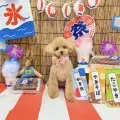 2025年08月14日16時14分投稿　ギャラリー記事「わんちゃん写真集♪」　投稿画像