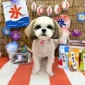 2025年08月27日12時14分投稿　ギャラリー記事「わんちゃん写真集♪」　投稿画像