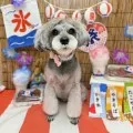 2025年08月14日16時14分投稿　ギャラリー記事「わんちゃん写真集♪」　投稿画像