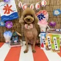 2025年08月07日18時00分投稿　ギャラリー記事「今日のわんちゃん♪」　投稿画像