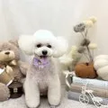 2025年10月14日20時44分投稿　ギャラリー記事「今日のわんちゃん♪」　投稿画像