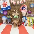 2025年08月27日12時16分投稿　ギャラリー記事「今日のわんちゃん♪」　投稿画像
