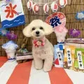 2025年09月14日12時54分投稿　ギャラリー記事「わんちゃん写真集♪」　投稿画像
