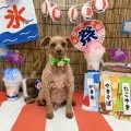 2025年09月14日12時54分投稿　ギャラリー記事「わんちゃん写真集♪」　投稿画像