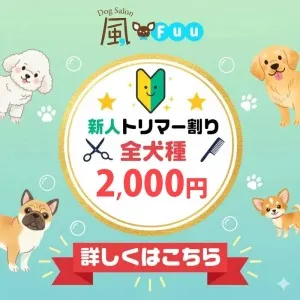 2025年12月01日10時00分投稿　お知らせ記事「【ドッグサロン風】新人トリマーデビューのお知らせ（全犬種2,000円！）」