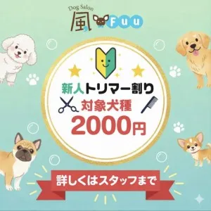 2026年03月01日10時00分投稿　お知らせ記事「【ドッグサロン風】新人トリマーデビューのお知らせ　(対象犬種の変更しました)」