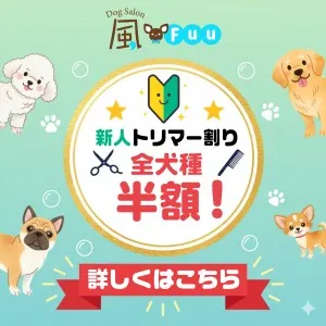 2025年12月01日13時00分投稿　お知らせ記事「【ドッグサロン風】新人トリマーデビューのお知らせ（全犬種半額！）」